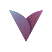Vibe Blessings logo
