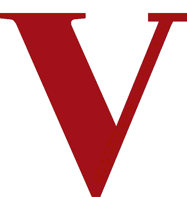Vietbao logo