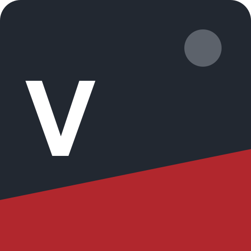 Vigineo logo