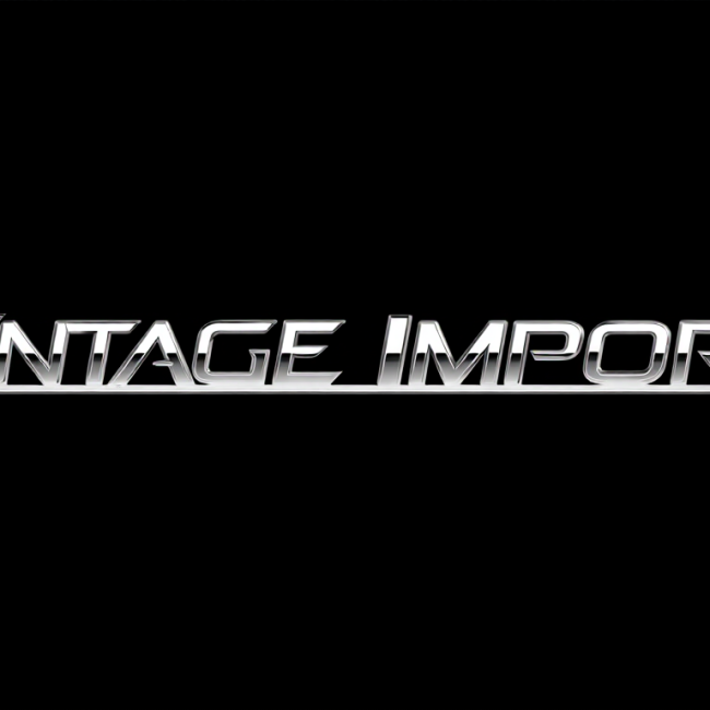 Vintage Import 87 logo