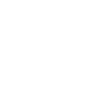 Vippivelho.fi logo