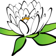 Viroplant logo
