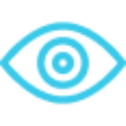 Visionasia.com.au logo