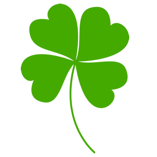 Vivre en Irlande logo