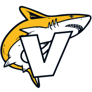 Vixion B2B logo