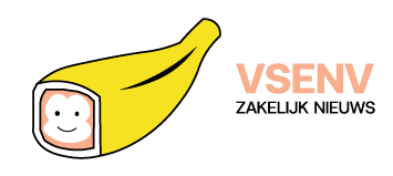 Vsenv.nl logo