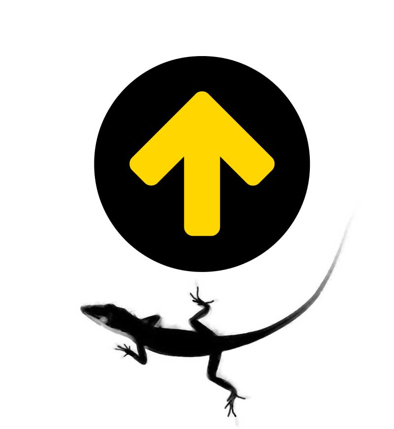 Wakingupwild.com logo