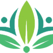 Wallvolution.com logo