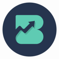 WB Biznesizing logo