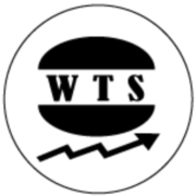 Webtechsky.com logo