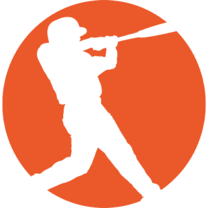 Wellington Baseball logo