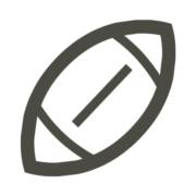 Widnesrugby.com logo