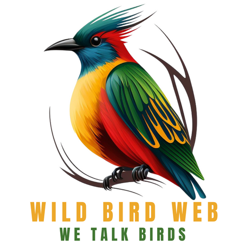 Wild Bird Web logo