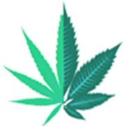 Womenincannabisnyc.com logo