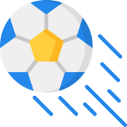 WomensSoccerCity.com logo