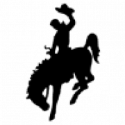 Wyoming Digest logo