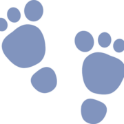 Zef.eu logo